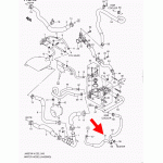 Патрубок, Шлангочки